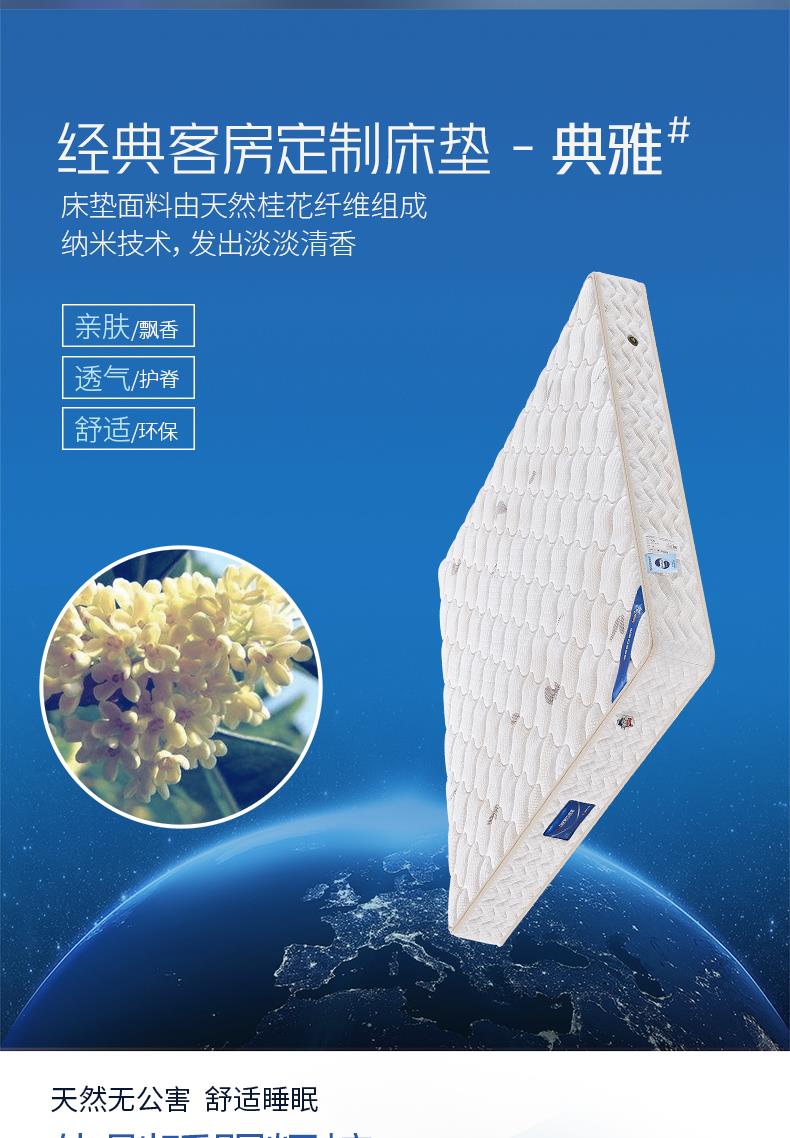 7-经典客房系列-典雅[2].JPG