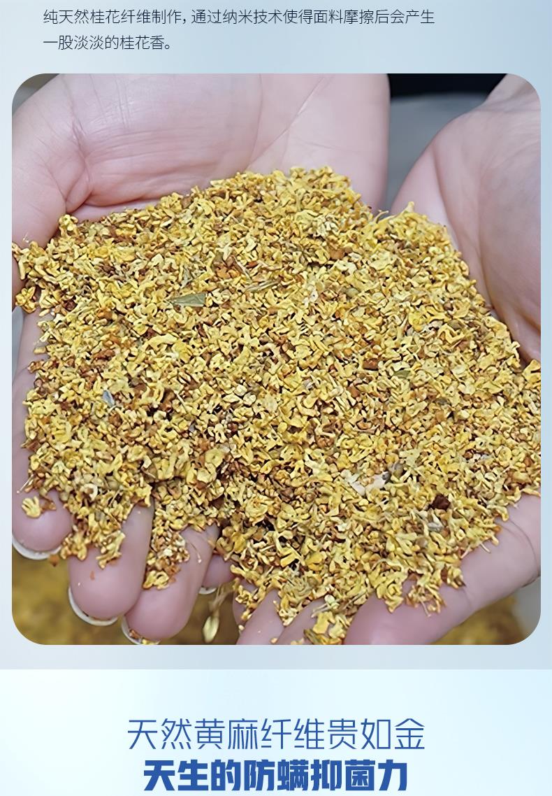 7-经典客房系列-典雅[5].JPG