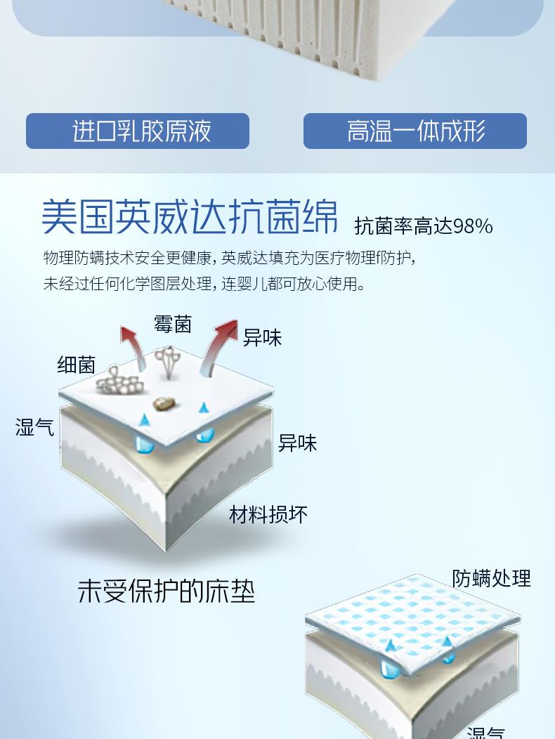 4-中年款-爱佳[6].JPG